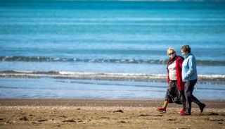 شواطئ نيوزيلندا