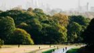 أجمل المزارات "الخضراء" في بريطانيا.. حدائق "مانشستر" بالصدارة