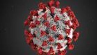 متحور كورونا الجديد.. سلالة جديدة تثير قلق العالم