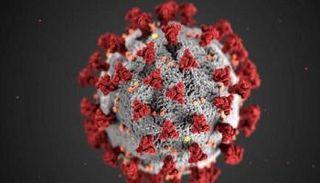 المتحور الجديد يتضمن العديد من الطفرات