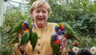 3 أغان و200 ضيف.. تفاصيل حفل وداع ميركل