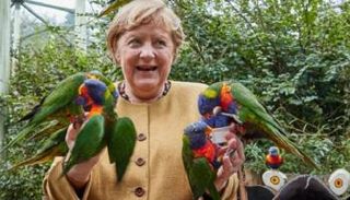 الببغاوات يودعون المستشارة الألمانية أنجيلا ميركل