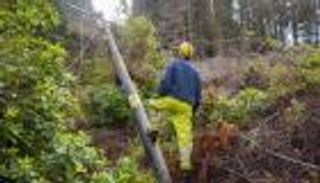 العاصفة أروين تقطع الكهرباء عن عشرات الآلاف في بريطانيا