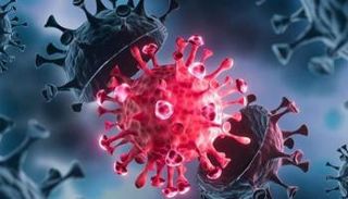 سلالة أوميكرون المتحورة من كورونا بأفريقيا - تعبيرية