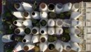 النمسا توقظ الحواس الخمس في إكسبو دبي.. مشاريع إبداعية