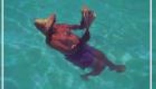 "تمساح النيل" يعيد السباح العالمي أبو هيف للأضواء