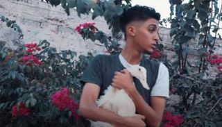 يوسف مع البطة