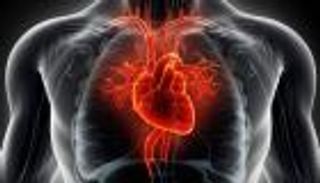 دراسة تحذر من زيادة معدل ضربات القلب: تنذر بالخرف