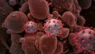 الأسئلة الشائعة حول متحور أوميكرون.. 5 إجابات يجب معرفتها