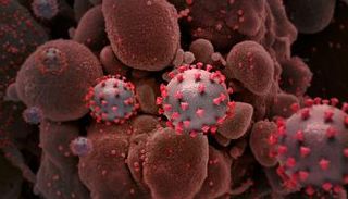 متحور أوميكرون من كورونا أصاب العالم بحالة من الهلع- أرشيفية