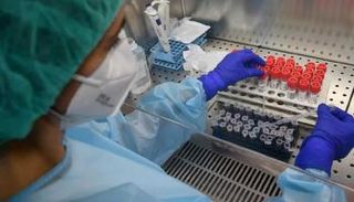 علماء يتوصلون لكيفية منع دخول كورونا إلى الخلايا بواسطة "الأبتمرات"