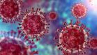 أول صورة لمتحوّر "أوميكرون".. أشواك إكليلية