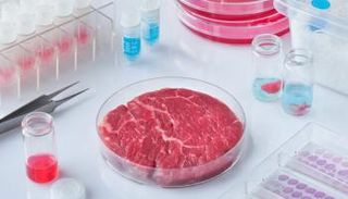 صورة نشرها موقع مدرسة أكسفورد مارتين التابعة لجامعة أكسفورد