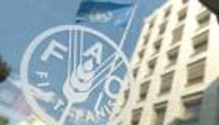 "الفاو": بعض موارد الأراضي والمياه "على حافة الانهيار"