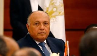 وزير الخارجية المصري سامح شكري- أرشيفية