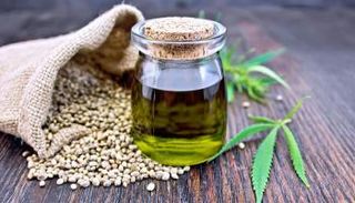 زيت القنب 