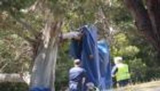 مجسم هوائي ينطلق للسماء ويقتل 4 أطفال بأستراليا