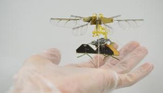 الروبوت الجديد بحجم الحشرة