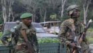 ضد "إرهابيي الغوريلا".. حملة عسكرية للجيشين الكونغولي والأوغندي