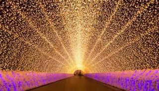 معرض أضواء Nabana no Sato Illumination
