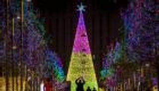 أجمل أماكن أشجار الكريسماس في لندن.. عاصمة الضباب تتزين