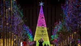 شجرة  ميدان ويمبلي