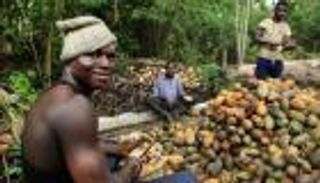 صندوق النقد يضبط "مزاج" تجار السعادة في الكاميرون.. ما القصة؟