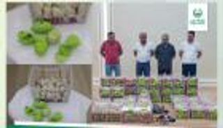 شرطة دبي تحبط تهريب شحنة مخدرات.. الكبتاجون في الليمون