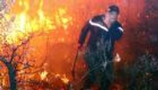 الجزائر 2021.. كارثة حرائق الغابات تُشعل ملاحم التضامن