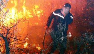 حرائق الغابات التي ضربت الجزائر في 2021 - أرشيفية