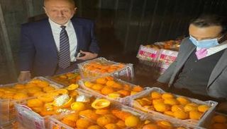 أقراص الكبتاجون كانت مخبأة في فواكه اصطناعية