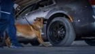 السعودية تحبط تهريب مليون حبة كبتاجون.. طرق شيطانية لإخفاء المخدرات