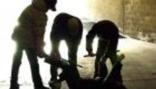 واقعة تنمر جديدة تهز إيطاليا.. والضحية طفلة عمرها 13 عاما