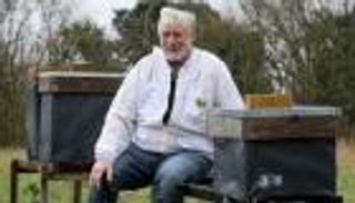 تداعيات المغامرة البريطانية.. لدغات بريكست تصيب 15 مليون نحلة