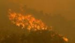 صور.. حرائق غابات تأتي على 71 منزلا في أستراليا