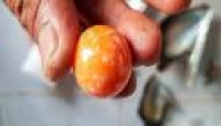 من الفقر إلى الثراء.. 8 جرامات "برتقالية" على الشاطئ تقلب حياة صياد