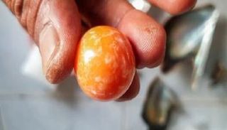  لؤلؤة "ميلو" البرتقالية النادرة