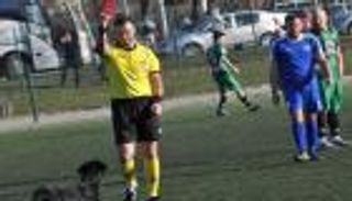 كلب يتلقى بطاقة حمراء لاستحواذه على الكرة