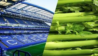 الكرفس في ملعب تشيلسي