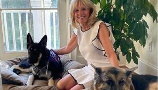 السيدة الأولى جيل بايدن مع الكلبين 