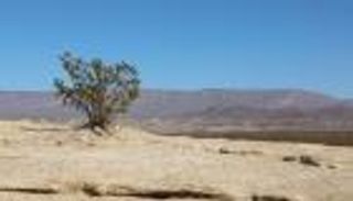 محمية "بيج بيند".. السياحة بطعم الطبيعة الصحراوية الخلابة