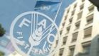 "الفاو": الإمارات تقدم تطبيقات مبتكرة في استزراع الأسماك بالصحراء