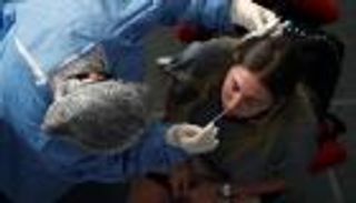 المتعافون من كورونا "مصدر خطر"