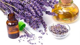 فوائد الخزامى