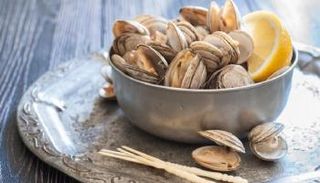 المحار يقوي المناعة