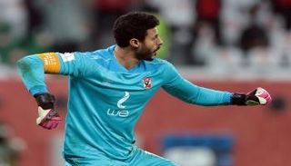 محمد الشناوي 