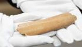 "عظمة بقرة" تكشف أسراراً عن تاريخ الأبجدية السلافية