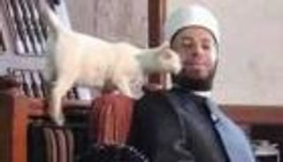 قُبلة قطة "تهز قلب" مستشار رئيس مصر.. تفاصيل القصة