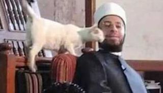 الدكتور أسامة الأزهري