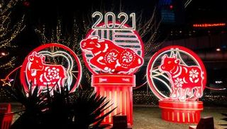 عام الثور الصيني